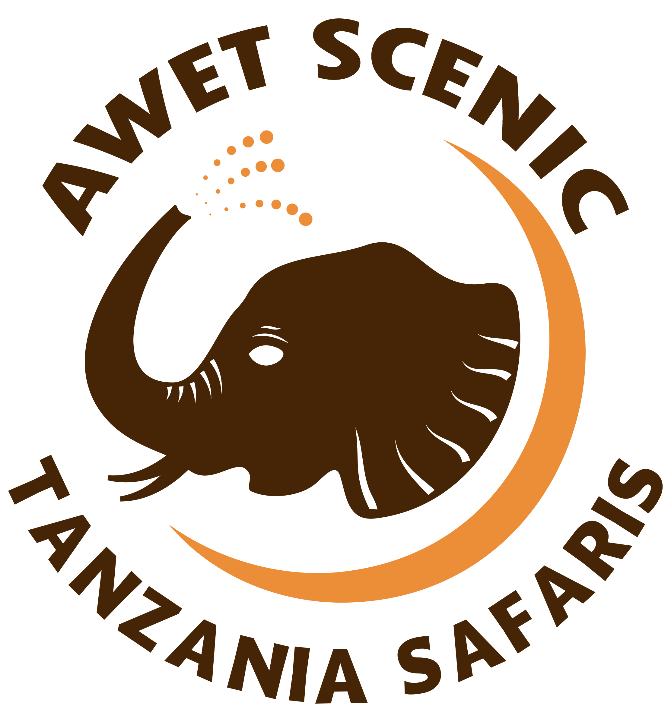 Awet Scenic Tanzania Safaris logo