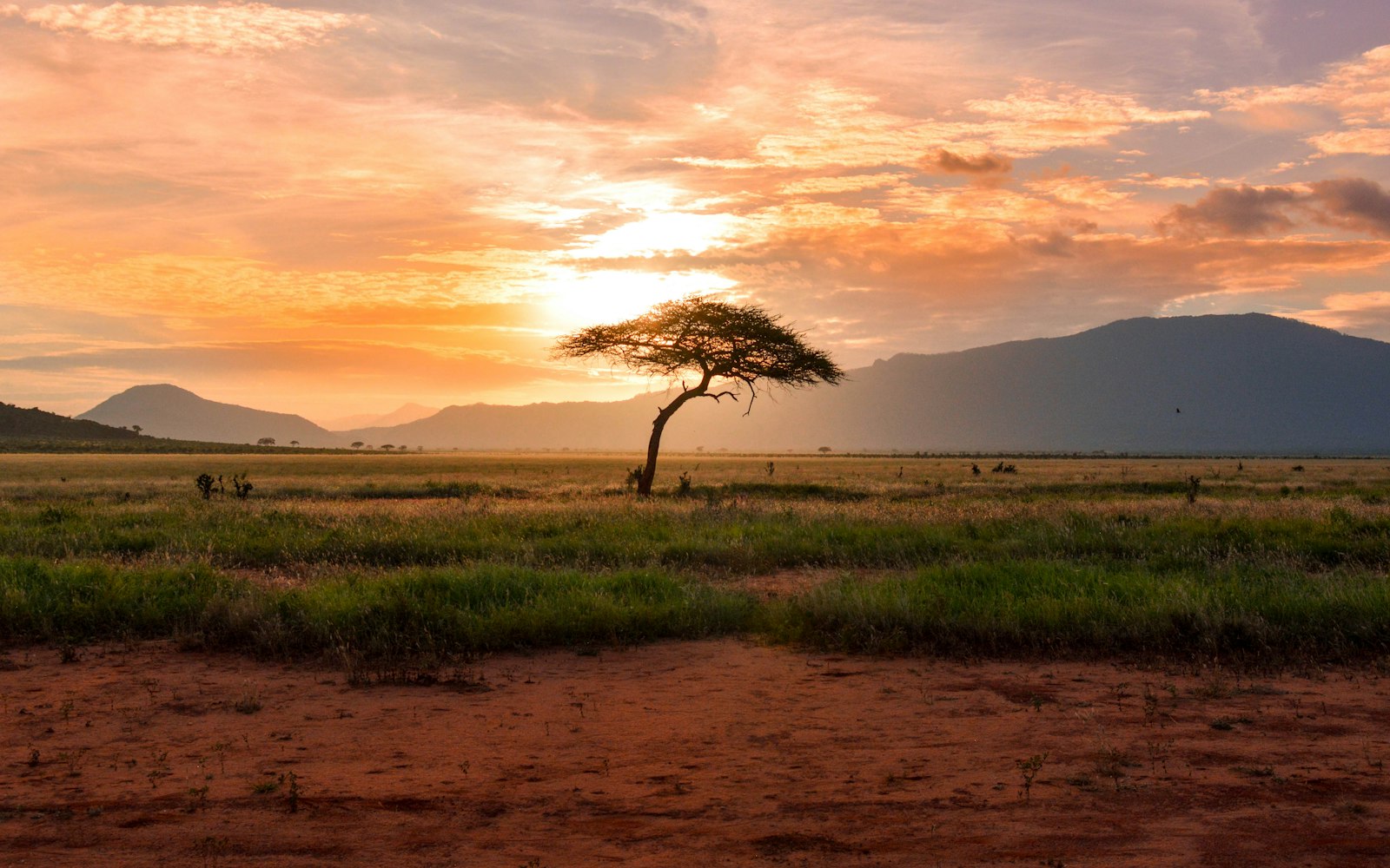 Tanzania safari destinations and national parks